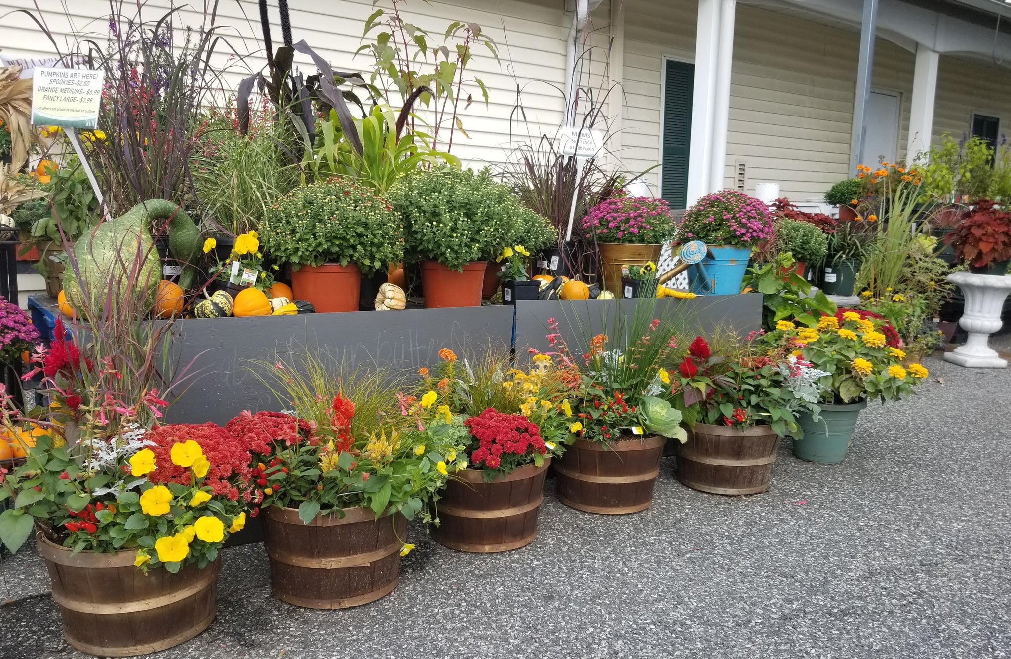 Bigger Really IS Better, Tips on Container Gardening