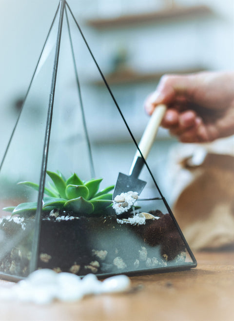 Pyramid terrarium