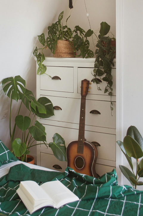 Dorm room with plants and a guitar