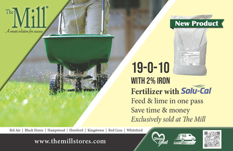 Turf fertilizer 19-0-010 flyer showing  a spreader on grass