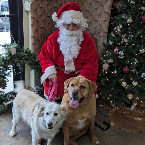 Pet Pictures with Santa