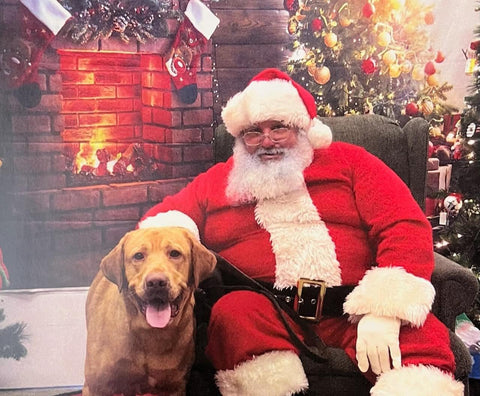 Pet Pictures with Santa