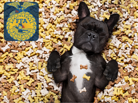 Decorate a Dog Biscuit with The Hereford FFA