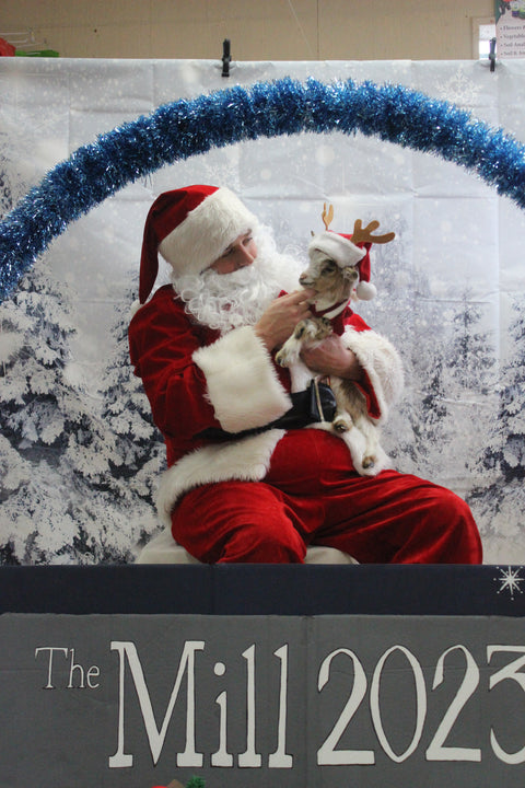 Pet Pictures with Santa