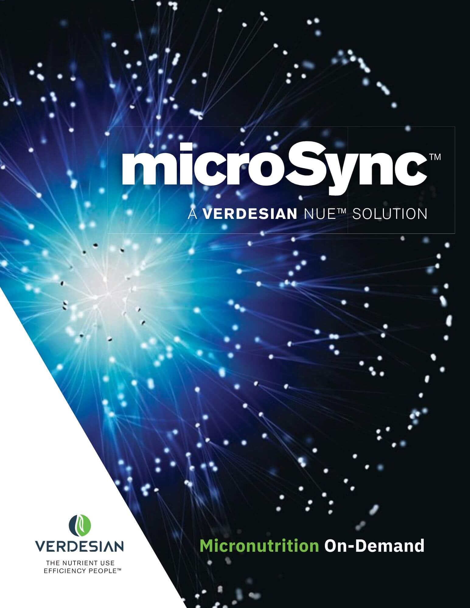 Verdesian MicroSync Granular Micronutrients – The Mill