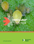 Prev-Am flyer