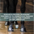 legs of 4 horses with ProElite banner in front for joint supplement