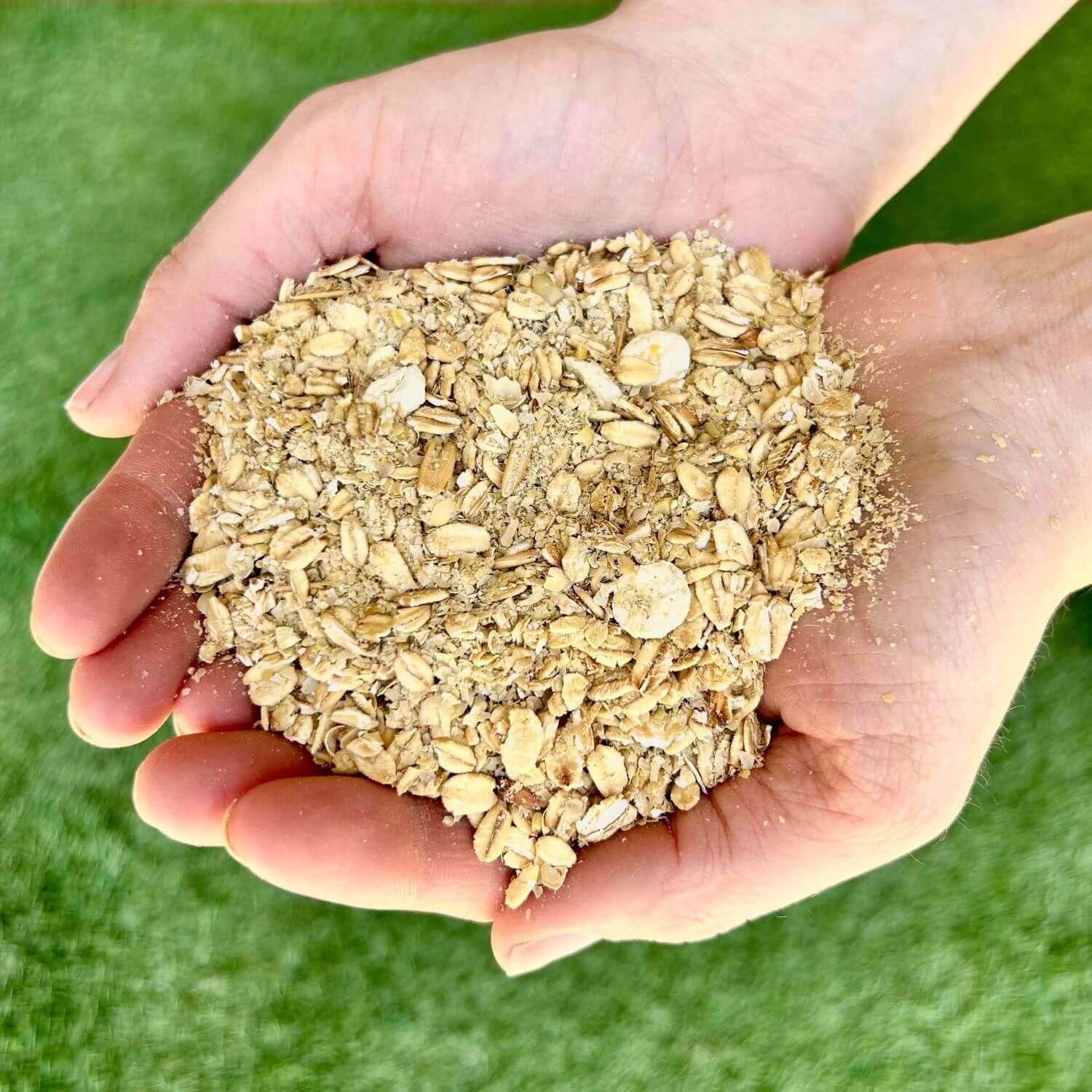 Rolled oats - Wikipedia