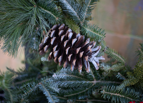 Holiday Centerpiece