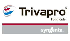 Trivapro logo