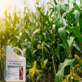 Trivapro fungicide 2.5 gallon jug in front of a corn field