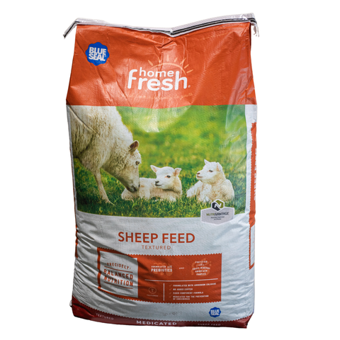 Home Fresh Sheep Feed