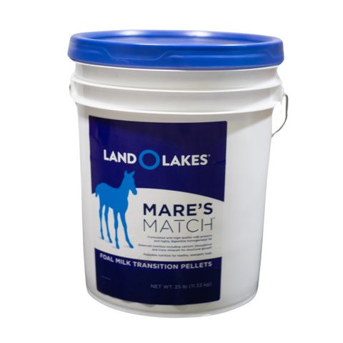 Land O Lakes Mare's Match