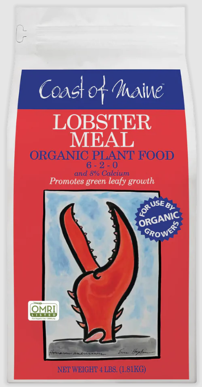 Coast of Maine Lobster Meal 