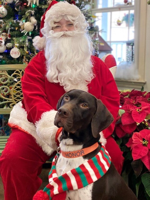 Pet Pictures with Santa