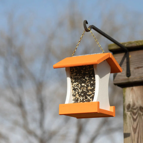 Wild bird supplies with bird feeder and hook