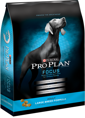 Pro plan focus sale