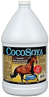 Cocosoya hotsell for dogs