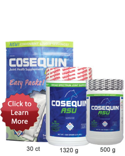 Cosequin ASU for Equine