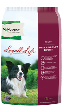 Nutrena loyall 2024 life dog food