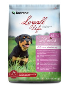 Large breed puppy outlet food