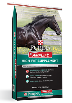 Fat cat hotsell horse supplement