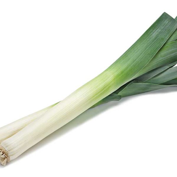 American Flag Leek Vegetable Seed – The Mill