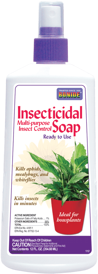 Bonide insecticidal Soap Spray Ready To use for House Plants