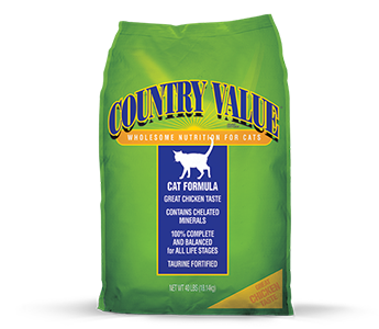 Great value best sale cat food